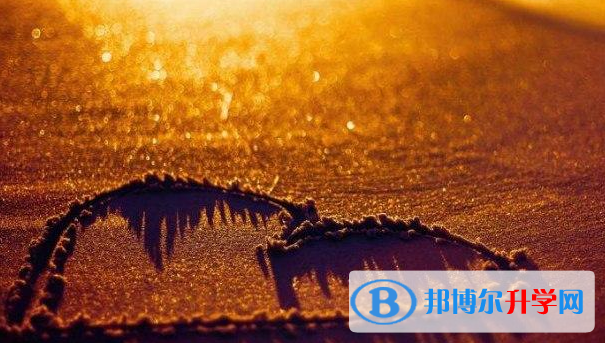 張家口2021年網(wǎng)上查詢(xún)中考成績(jī)