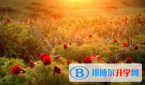 張家口2021年怎樣查詢中考成績