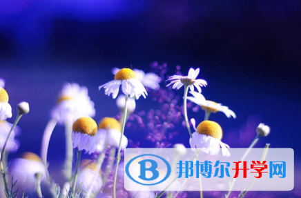秦皇島2021年查詢中考成績上哪個網站