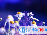 秦皇島2021年查詢中考成績上哪個網站