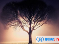 張家口2021年怎樣從網上查詢中考成績