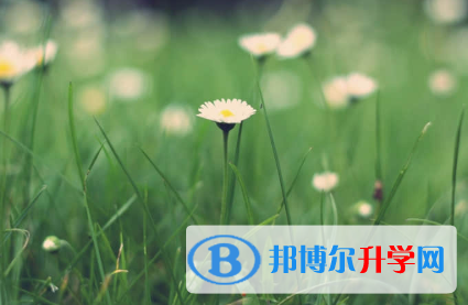 秦皇島2021年中考看成績是在哪個網站