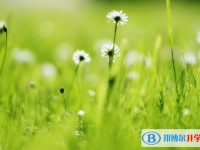 張家口2021年各個學校中考錄取線
