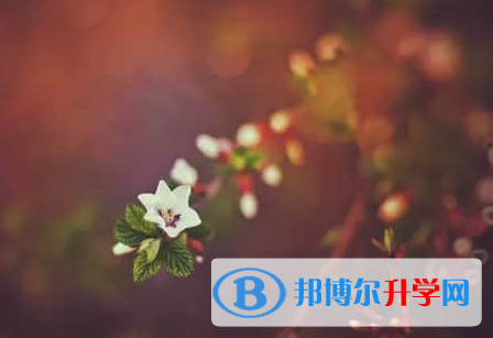 秦皇島2021年歷年中考重點(diǎn)