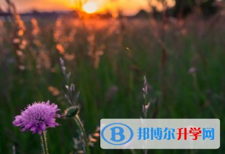 秦皇島2021年中考報(bào)考攻略