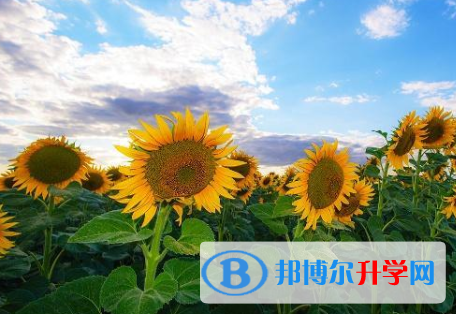 秦皇島2021年中考報考指南