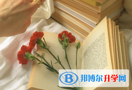 秦皇島2021年中考報名號