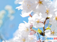 張家口2021年中考成績什么時候公布