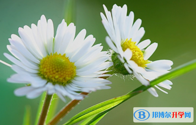 張家口2021年中考成績(jī)?cè)鯓硬樵? width=