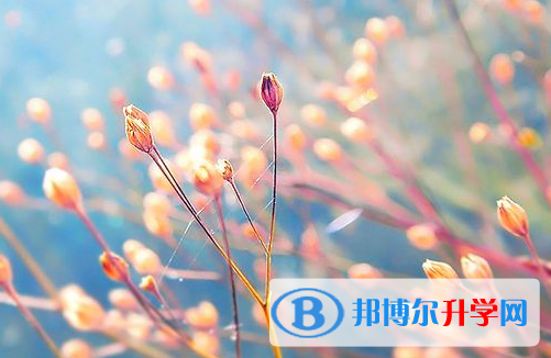 張家口2021年中考考點(diǎn)有哪幾個(gè)