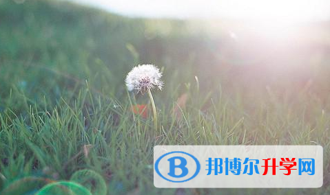 承德2021年查詢中考成績上哪個網站
