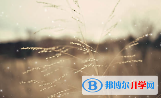 承德2021年中考查詢成績網址