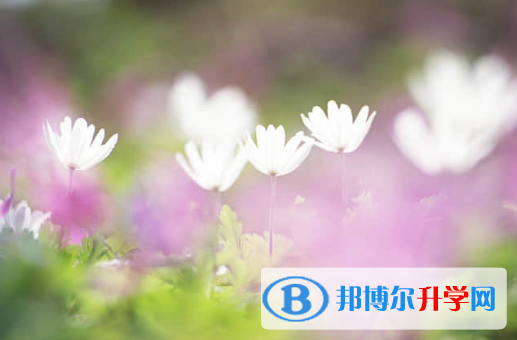 承德2021年中考成績查詢入口