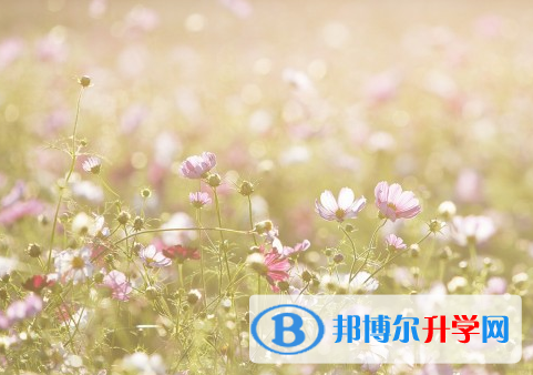 承德2021年中考成績如何查詢