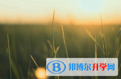承德2021年中考成績?cè)趺床樵? width=