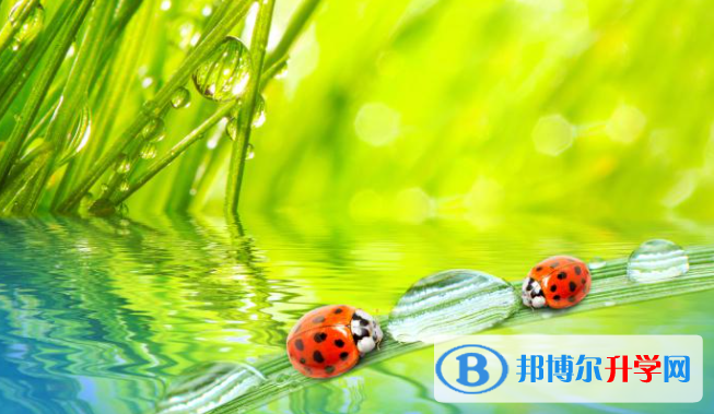 張家口2021年中考填志愿的網站