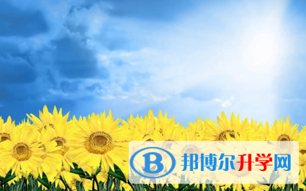 承德2021年中考成績一般讀什么學校