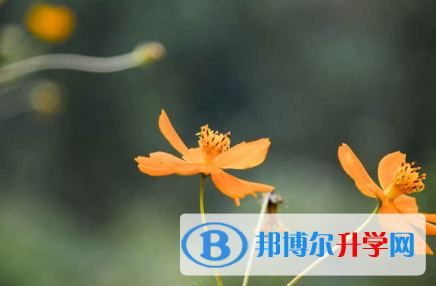 承德2021年中考多久出成績