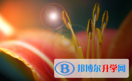承德2021年中考看成績是在哪個網站