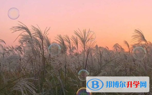 張家口2021年中考預估重點線