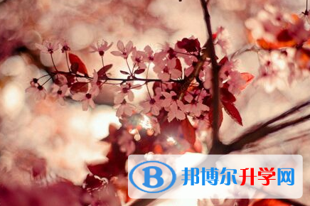承德2021年近年中考重點(diǎn)線