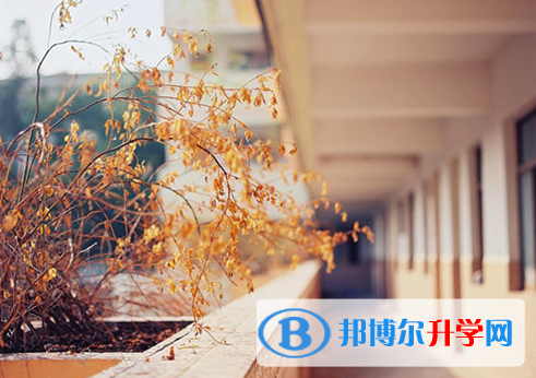 張家口2021年中考信息服務(wù)平臺(tái)