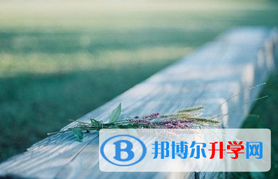 承德2021年中考報名網