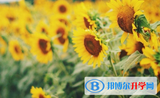 承德2021年中考報名網站