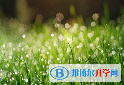 承德2021年中考服務應用平臺