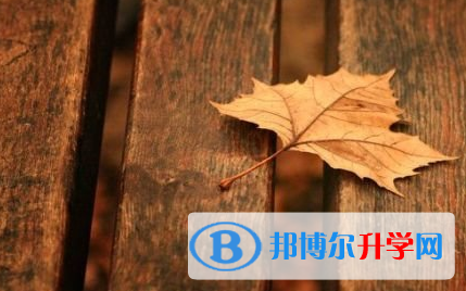 承德2021年中考考生人數