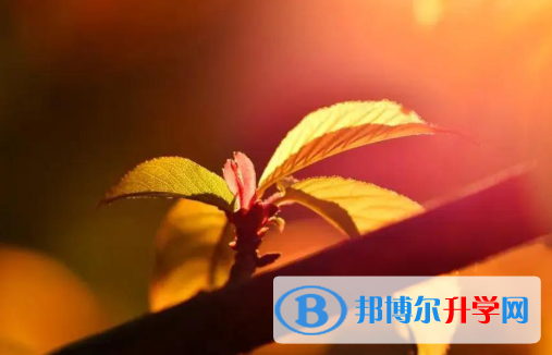 承德2021年中考錄取