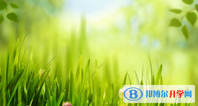 張家口2021年中考報(bào)名服務(wù)平臺(tái)