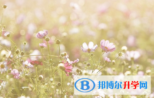 承德2021年中考人數