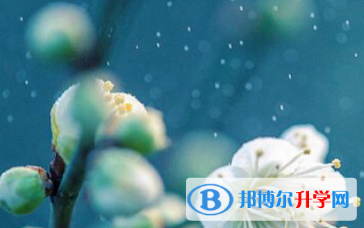 承德2021年中考填志愿的網站