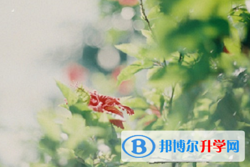 承德2021年中考填志愿統(tǒng)招和調劑