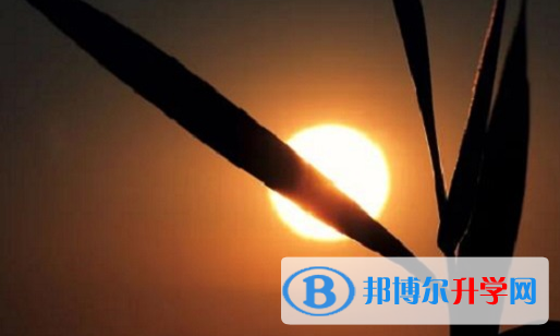 承德2021年中考調招