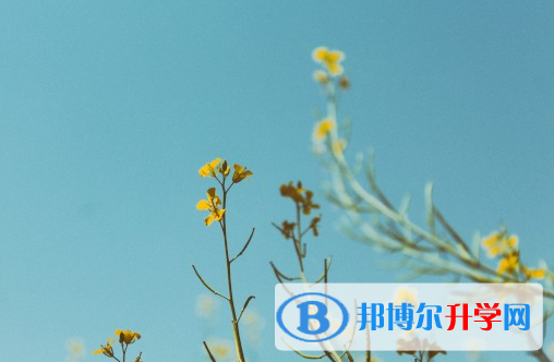 承德2021年中考網絡應用平臺