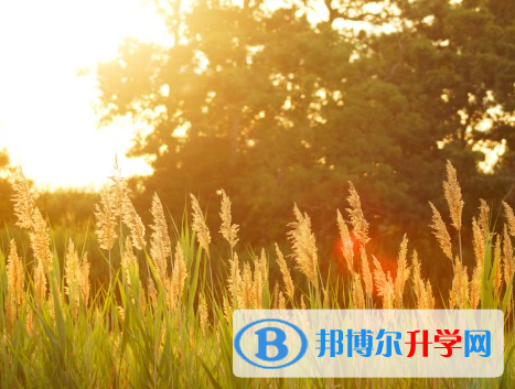承德2021年中考網(wǎng)上報考信息平臺