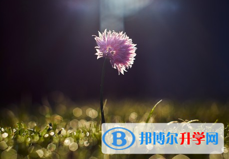承德2021年中考網上報名模擬