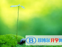 承德2021年中考網中考查詢