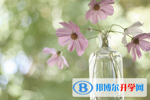 張家口2021年中考重點復習
