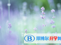 承德2021年中考藝體時間