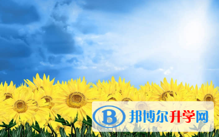 承德2021年中考預估重點線