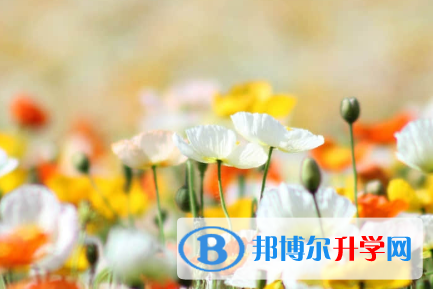 承德2021年中考怎樣調劑