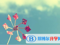 承德2021年中考招生計劃查詢