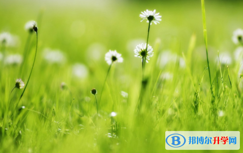 張家口2021年好多號中考