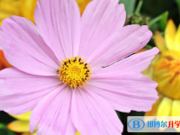 張家口2021年中考報(bào)名網(wǎng)站登錄
