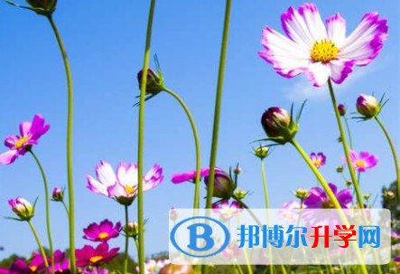張家口2021年中考報名網址