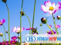 張家口2021年中考報(bào)名網(wǎng)址