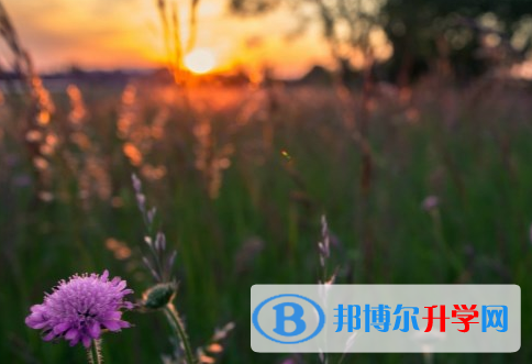 承德2021年中考升學率